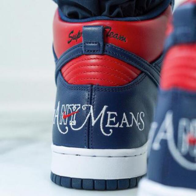 Supreme × Nike SB Dunk By Any Means "Red 2