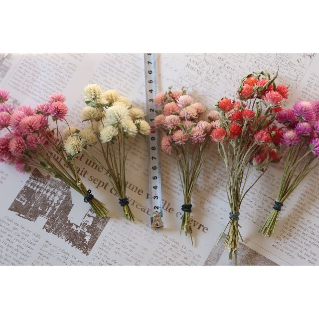 千日紅茎付き5色 ピンク＆白＆赤 計100本 ハンドメイドのフラワー/ガーデン(ドライフラワー)の商品写真