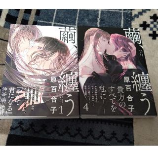 【専用商品枠】繭、纏う　4巻(青年漫画)