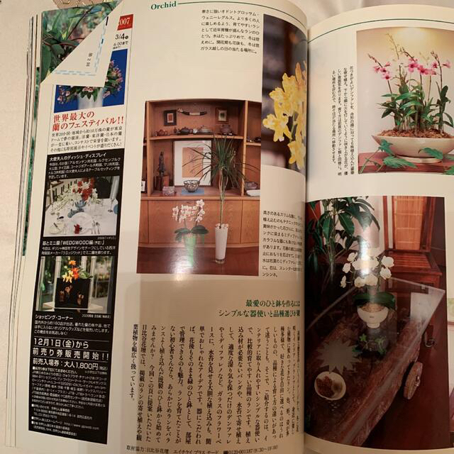 BISES ビズ  No.45 2006.12 冬号 エンタメ/ホビーの雑誌(趣味/スポーツ)の商品写真