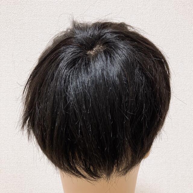 ビジネスショート☆フルウィッグ☆】 ヘアピース 人毛100% かつら 男性