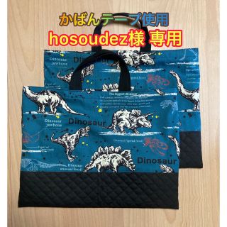 hosoudez様　専用(レッスンバッグ)