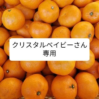 クリスタルベイビーさん専用(フルーツ)