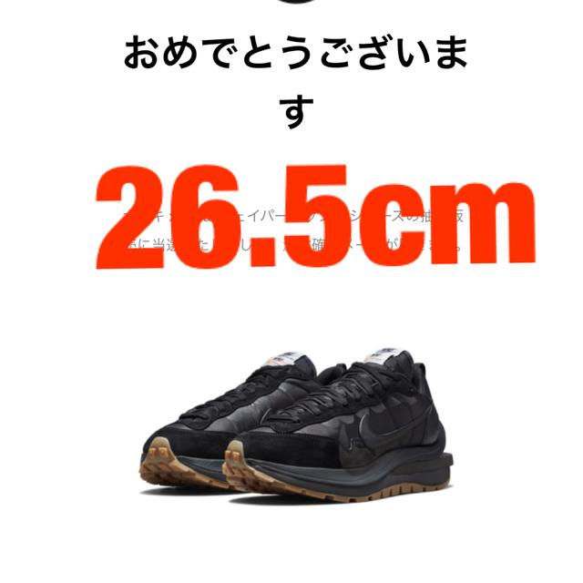sacai × Nike Vapor Waffle ナイキ　サカイ 26.5cm