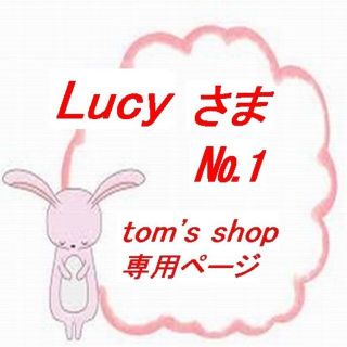 Lucyさま専用-1(その他)