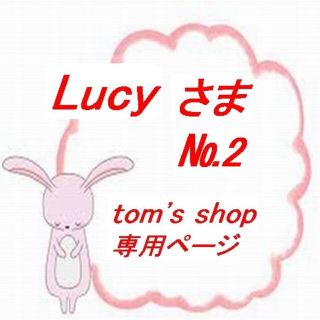 Lucyさま専用-2(その他)