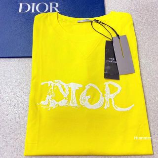 ディオールオム(DIOR HOMME)の国内正規品 新同 XL 21AW～ ディオール×ピータードイグ 刺繍Tシャツ(Tシャツ/カットソー(半袖/袖なし))