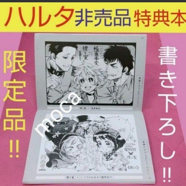 角川書店(カドカワショテン)のハルタ　非売品　限定 店舗品　書き下ろし イラスト集 エンタメ/ホビーのおもちゃ/ぬいぐるみ(キャラクターグッズ)の商品写真