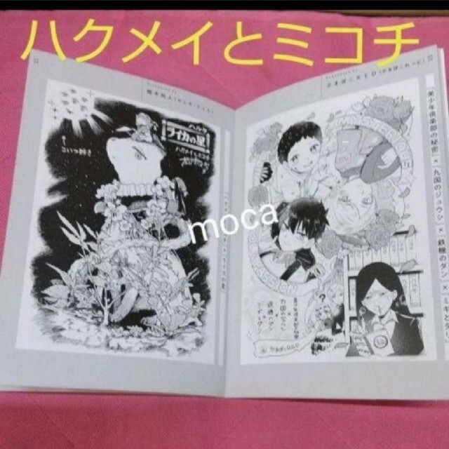 角川書店(カドカワショテン)のハルタ　非売品　限定 店舗品　書き下ろし イラスト集 エンタメ/ホビーのおもちゃ/ぬいぐるみ(キャラクターグッズ)の商品写真