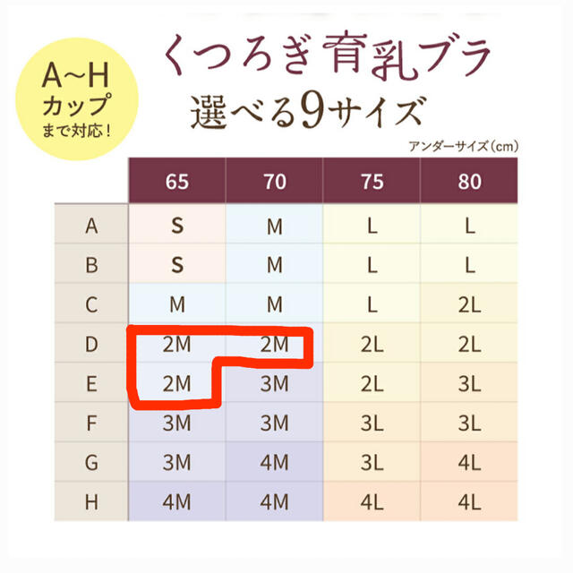 ヴィヴィ様専用ルルクシェル　くつろぎい育乳ブラ　ショーツ　ブラック2M  レディースの下着/アンダーウェア(ブラ)の商品写真