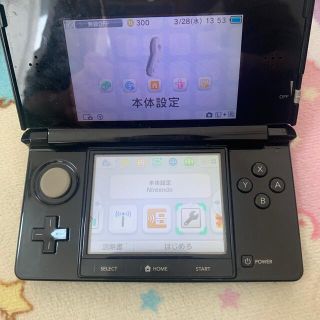 ニンテンドー3DS(ニンテンドー3DS)の3DS(携帯用ゲームソフト)