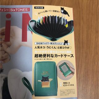 タカラジマシャ(宝島社)のSPRiNG スプリング 付録 じゃばら式カードケース ネコ 猫(名刺入れ/定期入れ)