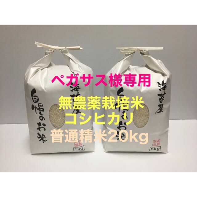 かなかな9091様専用 お米 令和元年 愛媛県産キヌヒカリ 白米 30㎏の+