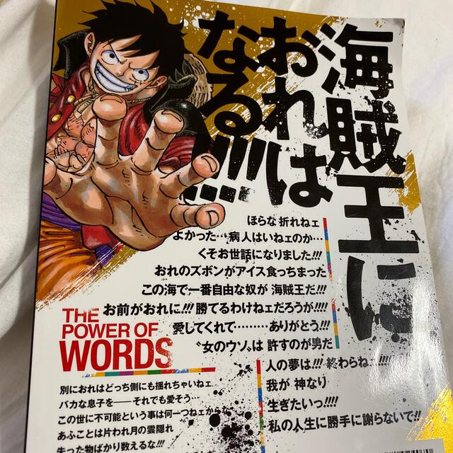 【匿名配送】ONE PIECE magazine Vol.1~11巻セット