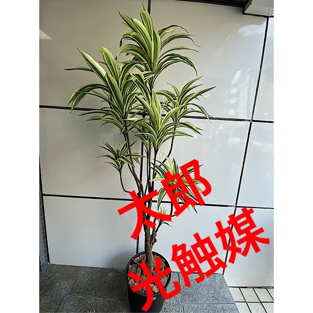 光触媒 人工観葉植物 ウォールグリーン フェイク フラワー ドラセナ