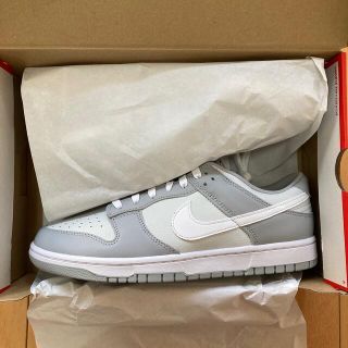 ナイキ(NIKE)のNIKE DUNK LOW RETRO【29.0㎝】(スニーカー)