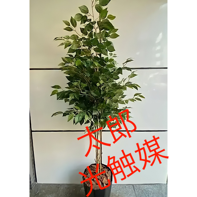 光触媒 人工観葉植物 ウォールグリーン フェイク フラワー