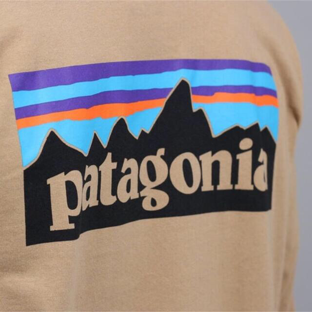 patagonia(パタゴニア)の正規◆レア◆パタゴニア ロンT Patagonia P-6 ベージュ　XL メンズのトップス(Tシャツ/カットソー(七分/長袖))の商品写真