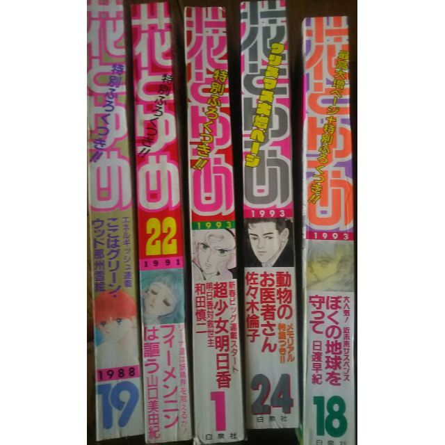 動物のお医者さん表紙🐕花とゆめ＆付録セット🐈 エンタメ/ホビーの漫画(漫画雑誌)の商品写真