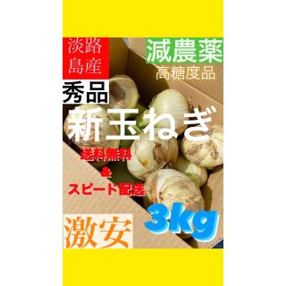 [数量限定]今年初採り！淡路島産(新)玉ねぎ　重量3kg (超！スピード配送)(野菜)