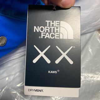 THE NORTH FACE - KAWS × NORTH FACE Youth 1986 マウンテンパーカーの