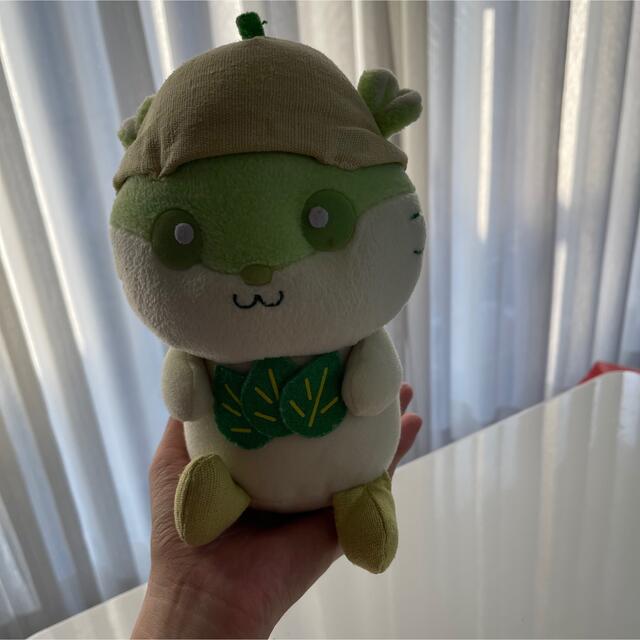 レア サンリオ コロコロクリリン 緑 グリーン 葉っぱ ぬいぐるみ レア サンリオ コロコロクリリン 緑 グリーン 葉っぱ ぬいぐるみ