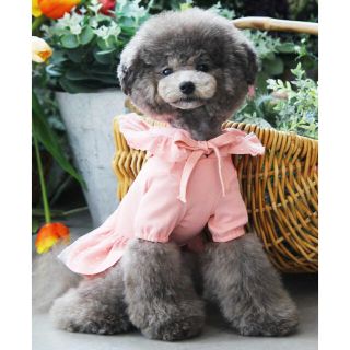 ♡美品♡TOTO&ROY シフォンドット花フードドレス♡(犬)