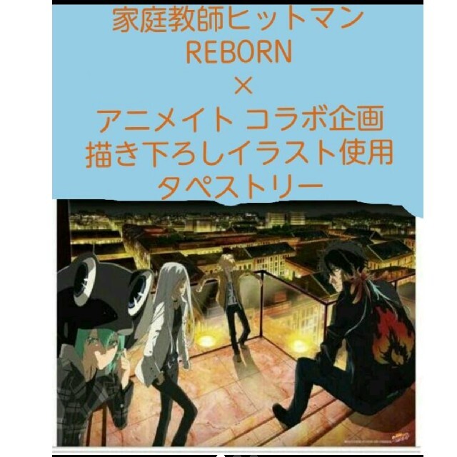 家庭教師ヒットマンリボーン-