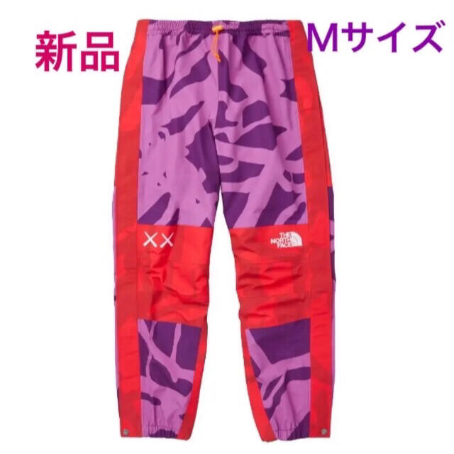 KAWS xThe North Face Mountain Light Pantパンツ