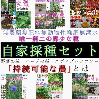 自家採種セット 固定種 有機種子 野菜の種 ハーブの種 種 種子 家庭菜園(野菜)