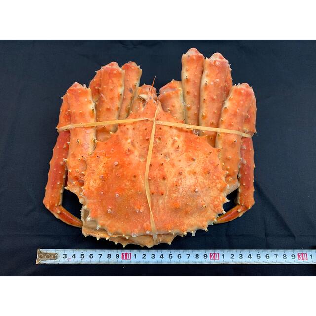 100 本物 B品 北海道産 浜茹で 冷凍タラバガニ メス 子無し 1 2kg前後 独立承認強行 Bhagawatinetralaya Com