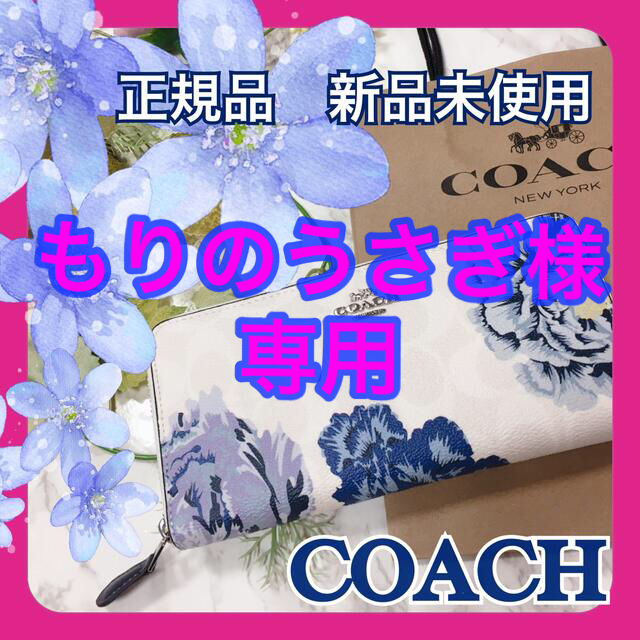 COACH - 【正規品 新品未使用】コーチ ホワイト ブルーフラワー 長財布