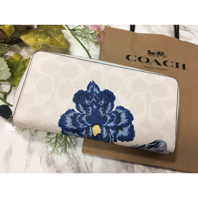COACH - 【正規品 新品未使用】コーチ ホワイト ブルーフラワー 長財布