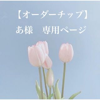 あ様　専用ページ　　速達＋300yen(ネイルチップ)