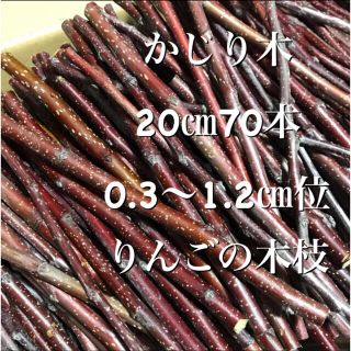 1200本以上 10㎝　かじり木　りんごの木　小動物　ストレス解消(小動物)