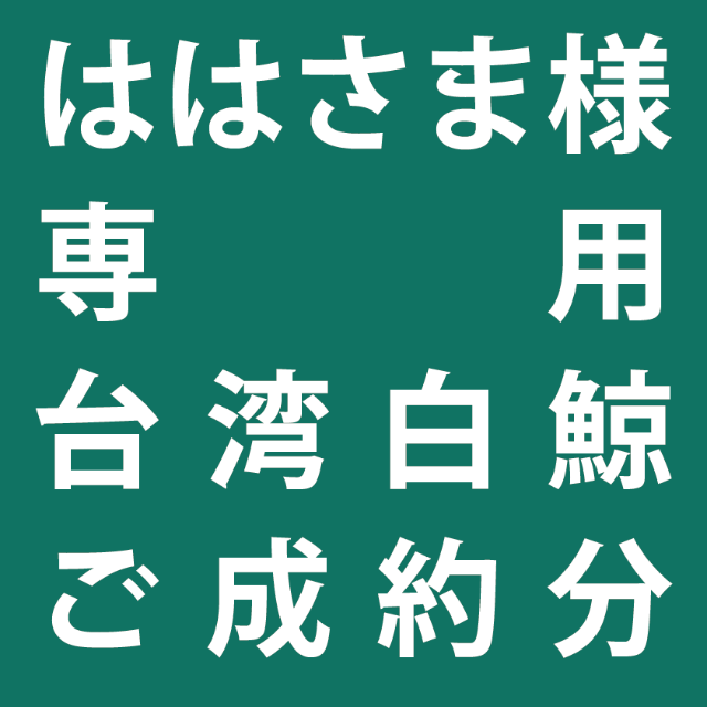 ははさま様専用　特選株　アガべ　チタノタ　白鯨台湾株　実生 ハンドメイドのフラワー/ガーデン(プランター)の商品写真