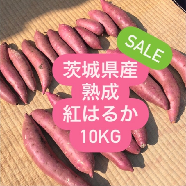 【訳あり】茨城県産無農薬さつまいも紅はるか10kg