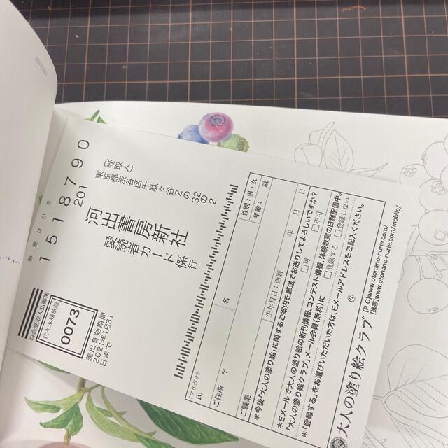 大人の塗り絵ＰＯＳＴＣＡＲＤ　ＢＯＯＫ 夏の花と実編 エンタメ/ホビーの本(アート/エンタメ)の商品写真