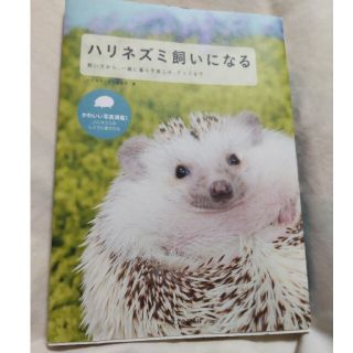 【お値下げ中】ハリネズミ飼いになる 飼い方から、一緒に暮らす楽しみ、グッズまで(住まい/暮らし/子育て)