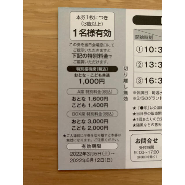 さくらサーカス和泉公演　特別招待券　10枚 チケットの演劇/芸能(サーカス)の商品写真