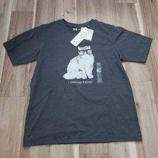 ポールアンドジョー(PAUL & JOE)のPAUL & JOE　ユニクロ　コラボ　猫　Tシャツ(Tシャツ(半袖/袖なし))