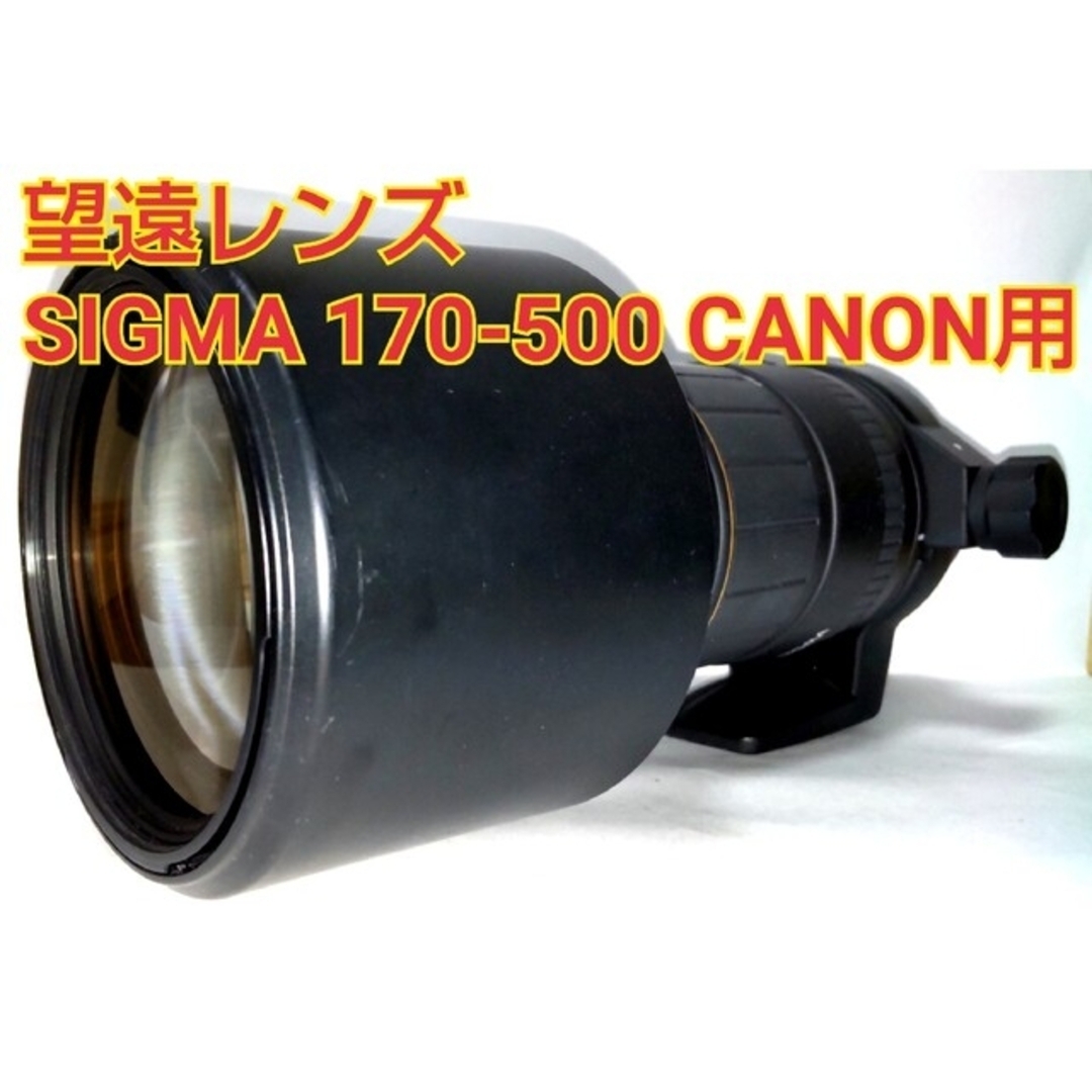 SIGMA - シグマ 望遠レンズ SIGMA 170-500 1:5-6.3 APO キャノンの+