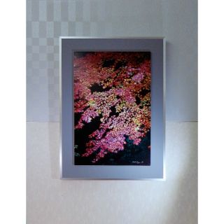 セール！・ Miyabi/H,Murayama   106cmX75cm(写真)