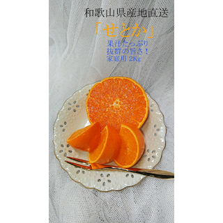 せとか　みかん　２Kg　(フルーツ)