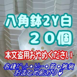 《2Y》カネヤ 八角鉢 白 20個 プラ鉢 多肉植物 プレステラ(プランター)