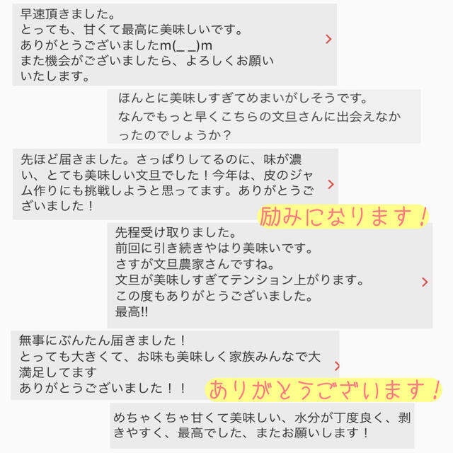 高知県産 土佐文旦 ぶんたん 10kg Lサイズ 食品/飲料/酒の食品(フルーツ)の商品写真