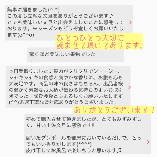 高知県産 土佐文旦 ぶんたん 10kg Lサイズ 食品/飲料/酒の食品(フルーツ)の商品写真