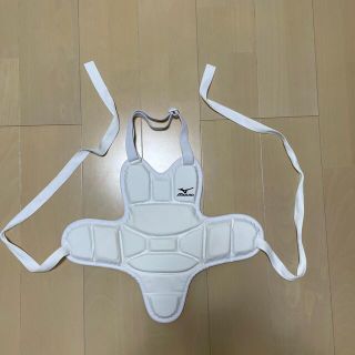 ミズノ(MIZUNO)の空手　プロテクター（胴）(相撲/武道)