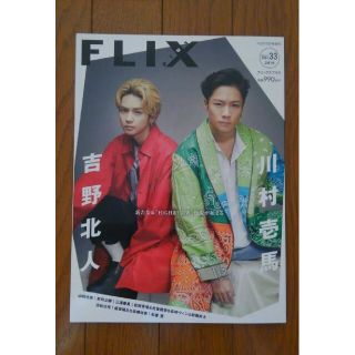 FLIX plus Vol.33　増刊(アート/エンタメ/ホビー)