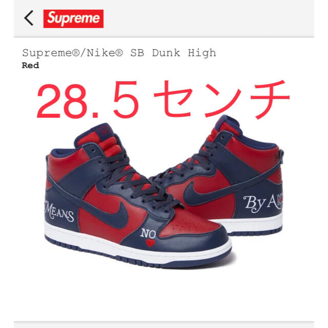 Supreme Nike SB Dunk High シュプリームナイキ 28.5
